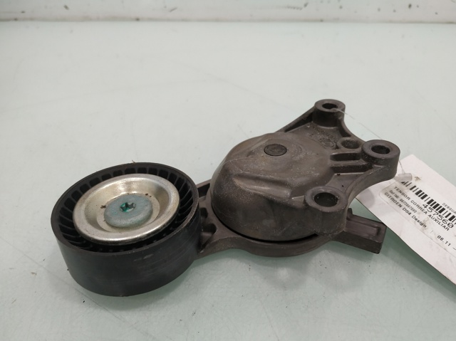 Rolo de reguladora de tensão da correia de transmissão 9673997680 PEUGEOT