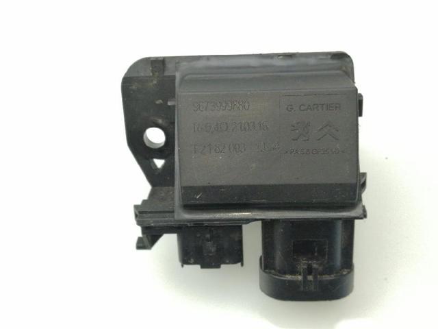 9673999880 Peugeot/Citroen