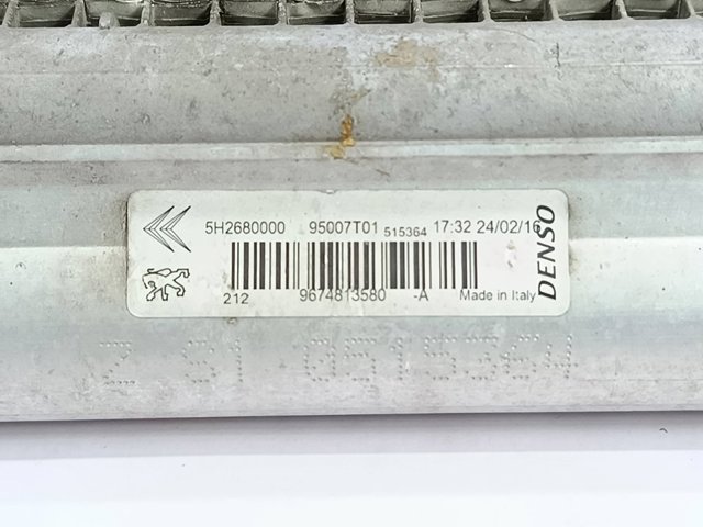 9674813580 Peugeot/Citroen