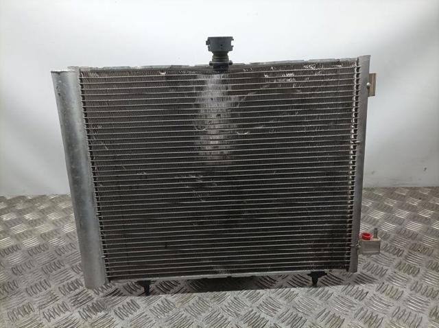 9674813580 Peugeot/Citroen