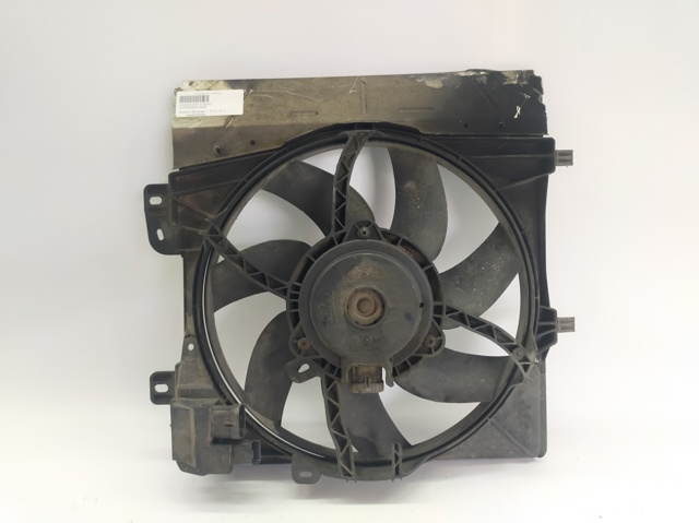 9675280980 Peugeot/Citroen