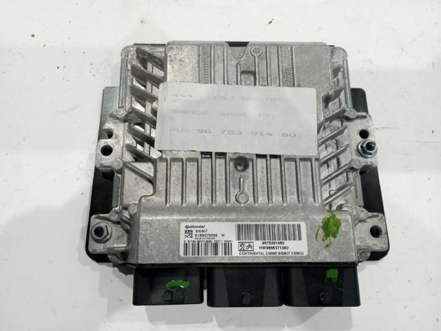 9675391480 Peugeot/Citroen