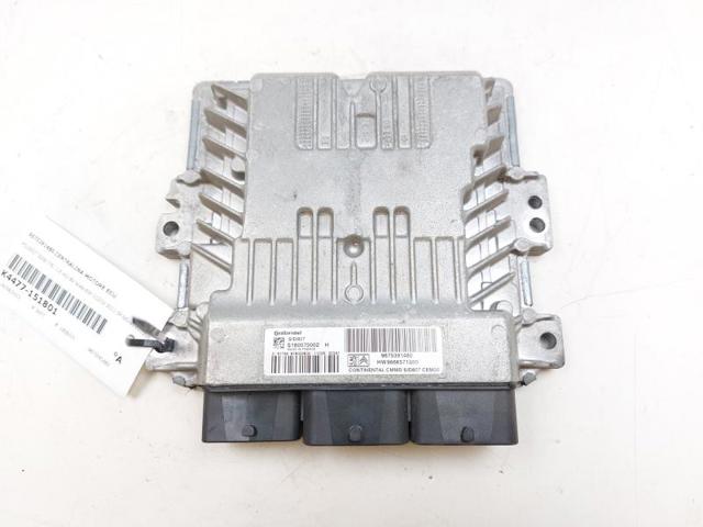9675391480 Peugeot/Citroen