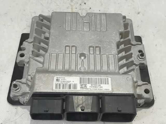 9675391480 Peugeot/Citroen