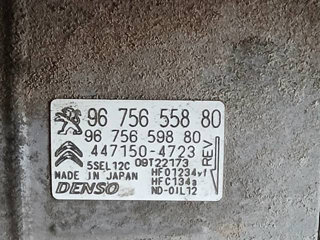 9675655880 Peugeot/Citroen