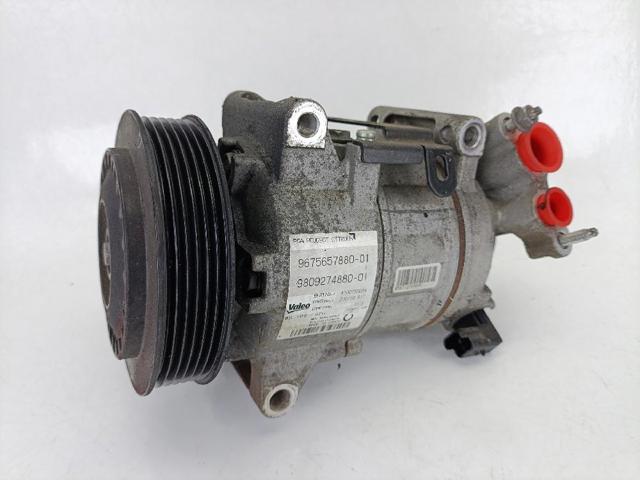 9675657880 Peugeot/Citroen