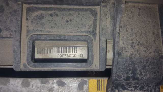 9675747980 Peugeot/Citroen