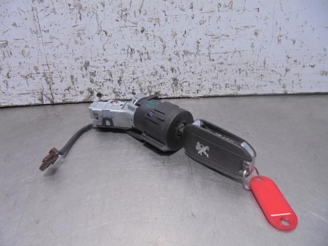 96762547 Peugeot/Citroen