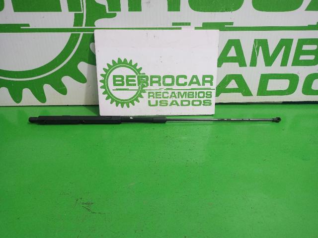 9676537380 Peugeot/Citroen