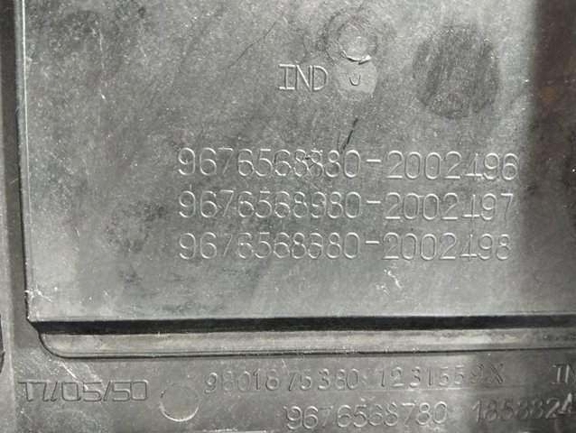 9676568880 Peugeot/Citroen