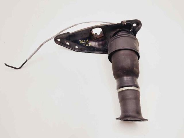 Coxim pneumático (suspensão de lâminas pneumática) do eixo traseiro 9676670180 PEUGEOT