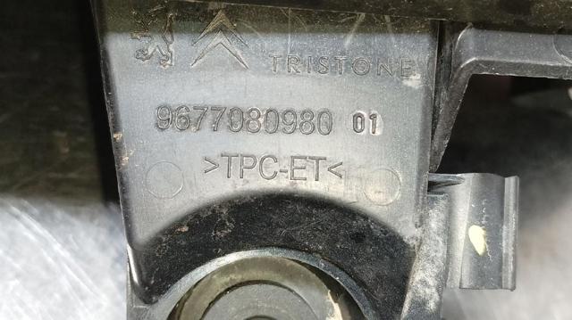9677080980 Peugeot/Citroen