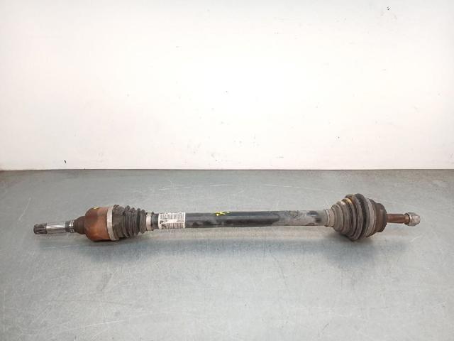 9677476680 Peugeot/Citroen