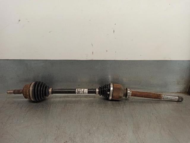 9677476680 Peugeot/Citroen