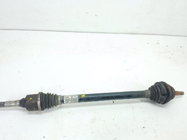 9677476680 Peugeot/Citroen
