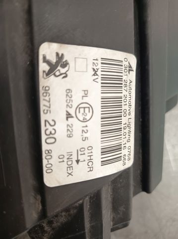 9677523080 Peugeot/Citroen