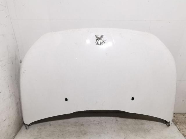 9677673680 Peugeot/Citroen