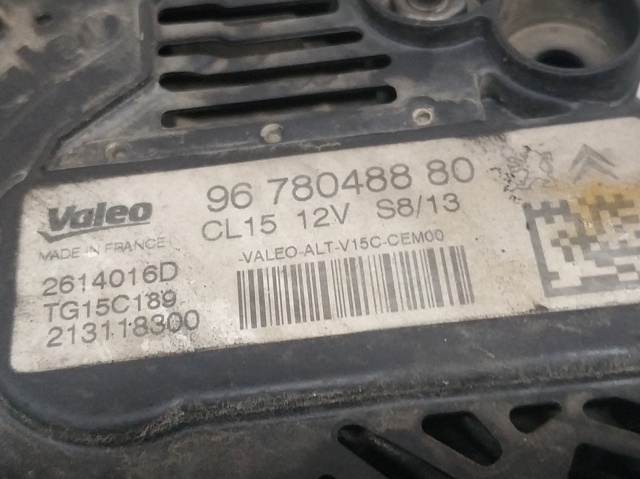9678048880 Peugeot/Citroen