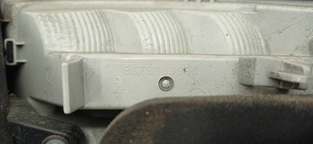 9678093980 Peugeot/Citroen