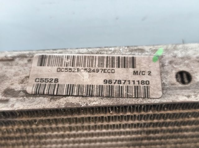 9678711180 Peugeot/Citroen