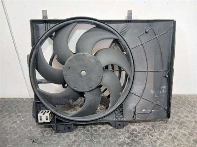 9680102880 Peugeot/Citroen