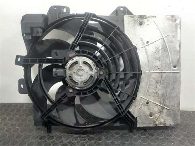 9680102880 Peugeot/Citroen