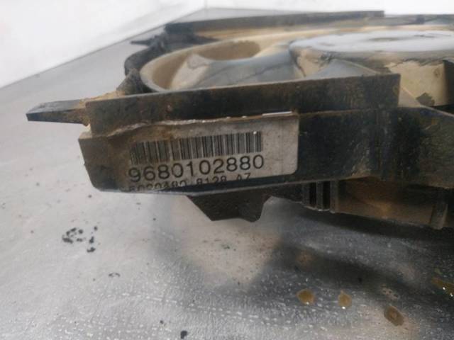 9680102880 Peugeot/Citroen