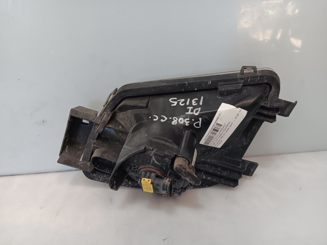 9680498680 Peugeot/Citroen
