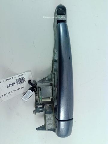 9680656580 Peugeot/Citroen