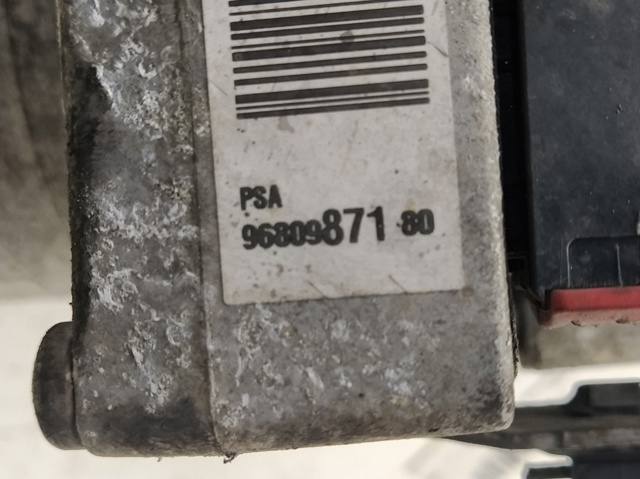 9680987180 Peugeot/Citroen