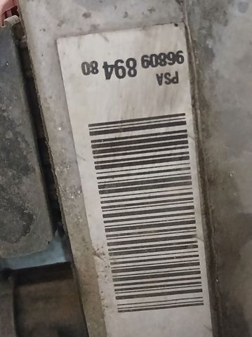 9680989480 Peugeot/Citroen