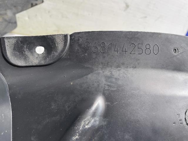 9681442580 Peugeot/Citroen