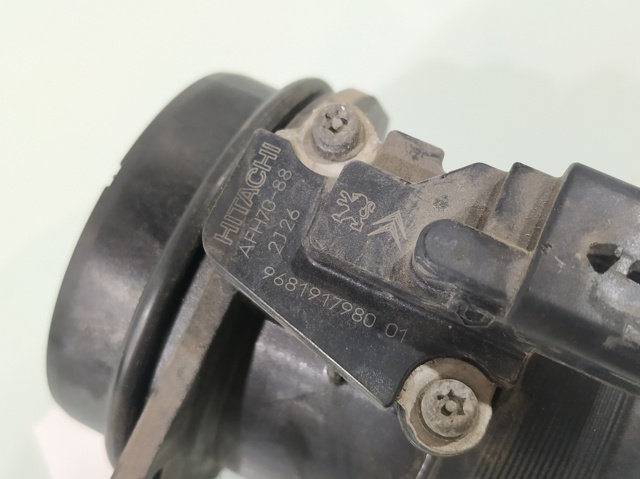 9681917980 Peugeot/Citroen