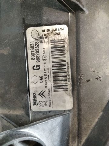 9682828280 Peugeot/Citroen