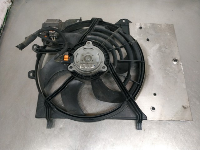 9682895680 Peugeot/Citroen