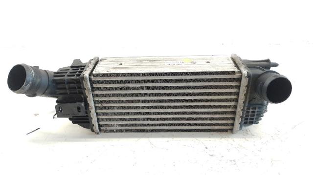 9683009680 Peugeot/Citroen