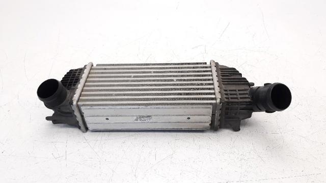 9683009680 Peugeot/Citroen