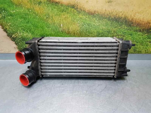 9684212480 Peugeot/Citroen