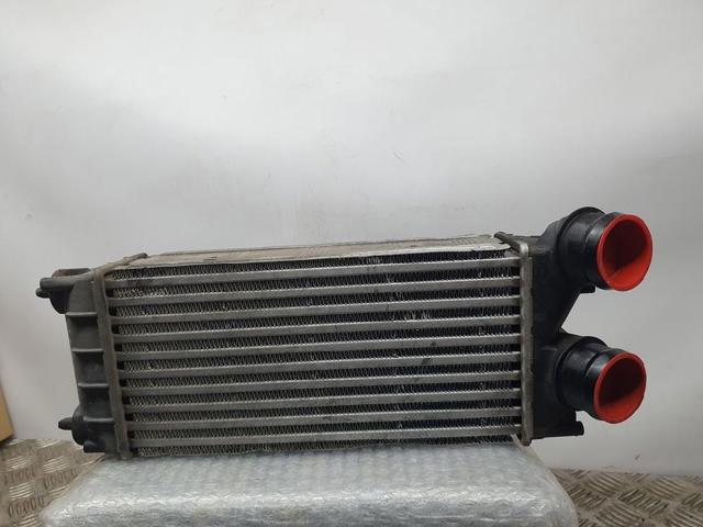 9684212480 Peugeot/Citroen
