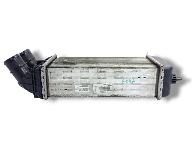 9684311680 Peugeot/Citroen