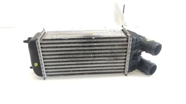 9684311680 Peugeot/Citroen