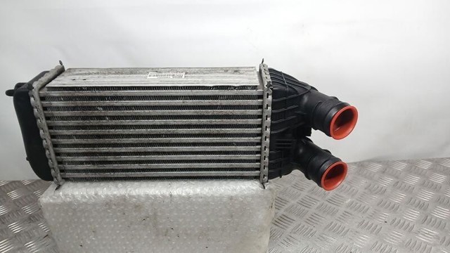 9684311680 Peugeot/Citroen