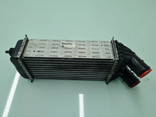 9684311680 Peugeot/Citroen