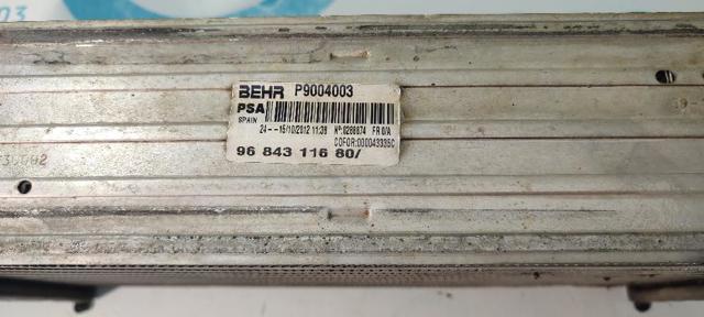 9684311680 Peugeot/Citroen