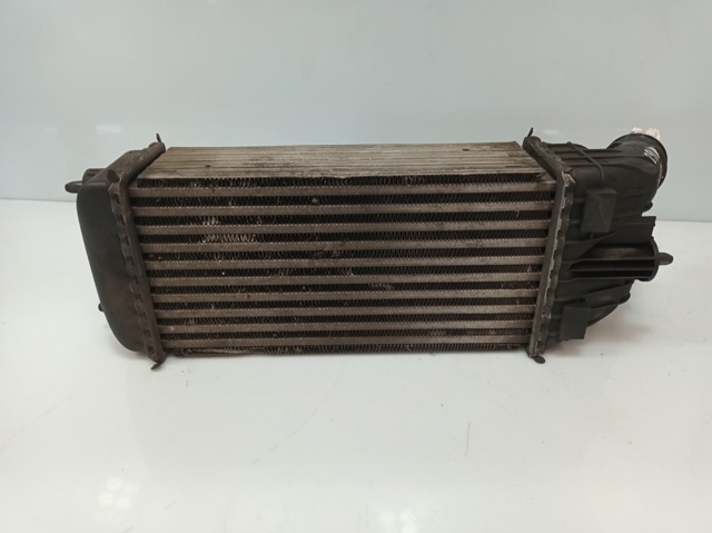 9684311680 Peugeot/Citroen