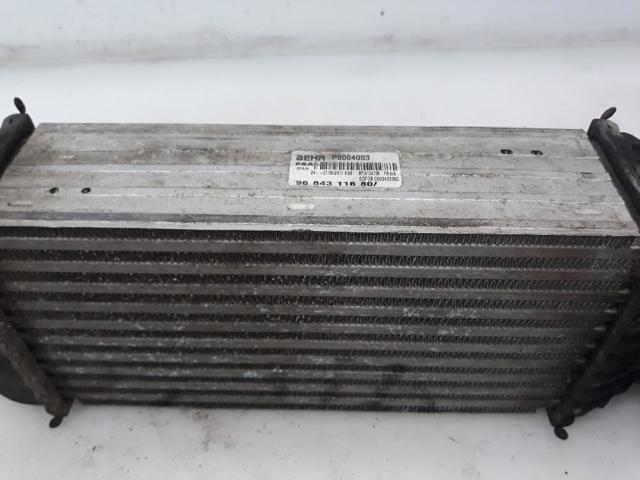 9684311680 Peugeot/Citroen
