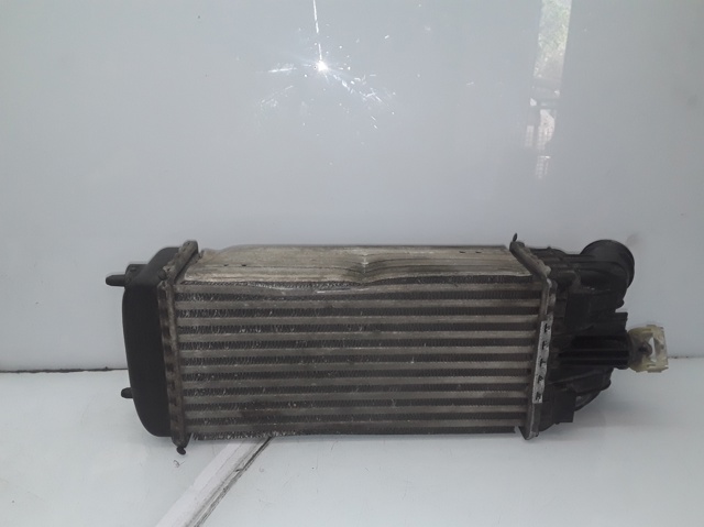 9684311680 Peugeot/Citroen
