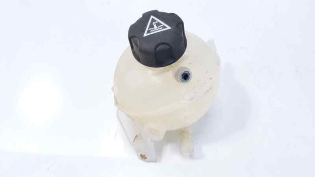 9684527680 Peugeot/Citroen