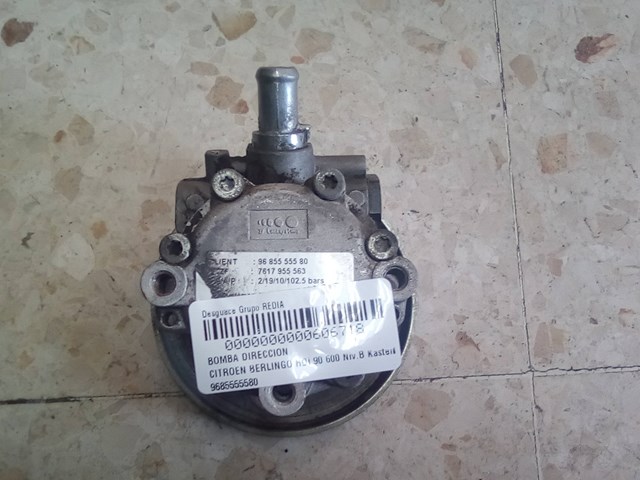 9685555580 Peugeot/Citroen