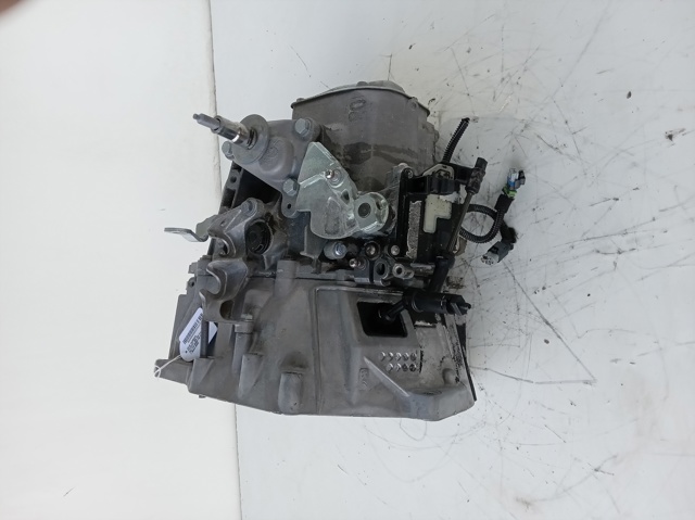 9686219510 Peugeot/Citroen